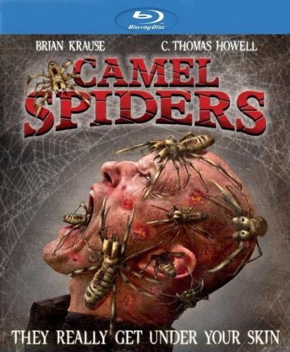Верблюжьи пауки / Camel Spiders (Джим Уайнорски / Jim Wynorski) [2012, HDRip